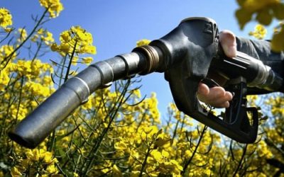 Análisis de los combustibles alternativos en el marco europeo del transporte por carretera