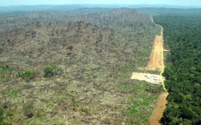 No existe alternativa al recorte de CO2 contra el cambio climático