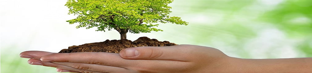 Alternativas ante la subida del impuesto de matriculación