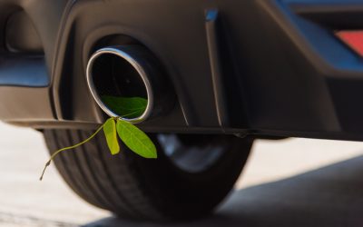 ¿Por qué los biocombustibles son clave en el futuro de la automoción?